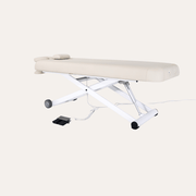 2274 Electric Multi Purpose Massage Table