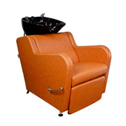 Stanley Shampoo Backwash Unit