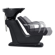 Beckman Shampoo Backwash Unit with Adjustable Seat Black DIR