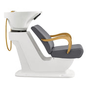 Beckman Gold Salon Shampoo Unit with Adjustable Seat Gray DIR