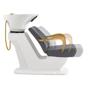 Beckman Gold Salon Shampoo Unit with Adjustable Seat Gray DIR