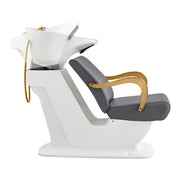 Beckman Gold Salon Shampoo Unit with Adjustable Seat Gray DIR