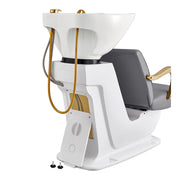 Beckman Gold Salon Shampoo Unit with Adjustable Seat Gray DIR