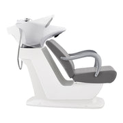 Beckman Shampoo Backwash Unit with Adjustable Seat Grey DIR