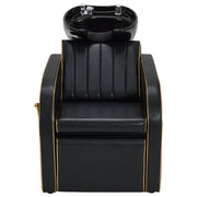 Salon & Barber Styling Chair 8885 with Hydraulic Base and Backwash Shampoo Chair 9175 with Adjustable Porcelain Bowl – Complete Professional Salon Set for Spas and Stylists