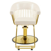 BarberPub Hydraulic Salon Chair for Hair Stylist, Home Salon and Barbershop 8677