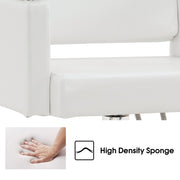 BarberPub Salon Chair, Styling Chair for Hair Stylist, Home Salon SPA Equipment 8808
