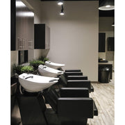 Cosmo Backwash Unit Pibbs