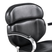 JULIANA Multi-Purpose Recline Styling Chair AGS Beauty