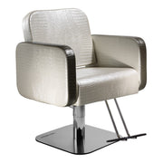 Icon Styling Chair Salon Ambience