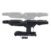 Ink 3-Motors Medical Spa Chair