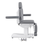 Ink 3-Motors Electric Facial Beauty Bed Chair Grey DIR