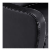 Leona Massage Shampoo Chair Black DIR