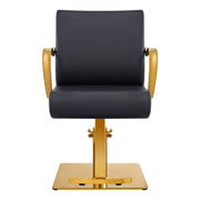 Meteor Gold Salon Styling Chair