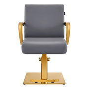 Meteor Gold Salon Styling Chair Gray DIR