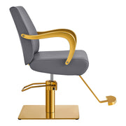Meteor Gold Salon Styling Chair Gray DIR