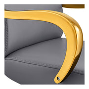 Meteor Gold Salon Styling Chair