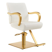 Meteor Gold Salon Styling Chair