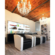 Mirage Backwash Unit Salon Ambience