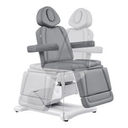 Pavo Facial Beauty Bed/Chair Full Electrical with 4 Motors Grey DIR