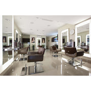 Quadro Styling Chair Salon Ambience