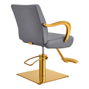 Meteor Gold Salon Styling Chair Gray DIR