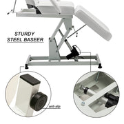 Barber Electric Massage Bed with One Motor for Height, Beauty Tattoo Chair, Salon Facial Adjustable Bed 0100