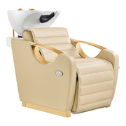 Victoria Gold Electric Shampoo Chair