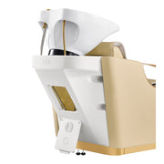 Victoria Gold Electric Shampoo Chair