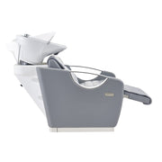 Victoria Electric Shampoo Backwash Unit