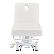 WellRelax 2-Motors Therapy Treatment Table with Tilting Cradle Pillow