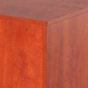 STANTON Salon Cart in Wild Cherry AGS Beauty